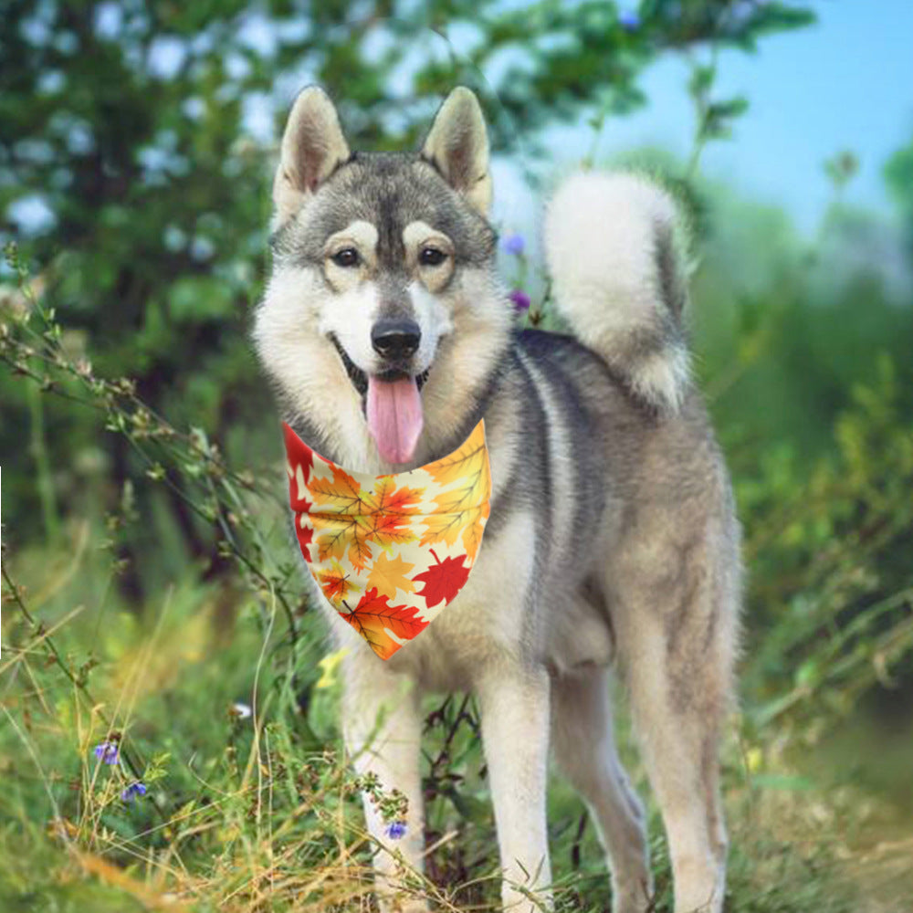 Thanksgiving Pet Bandanas