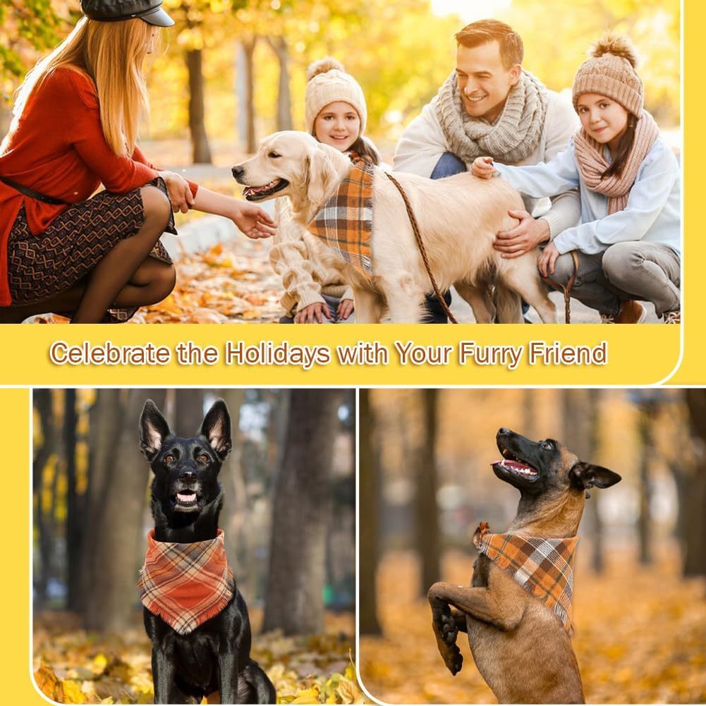 Fall Bandana For Pets With Tassel Edges