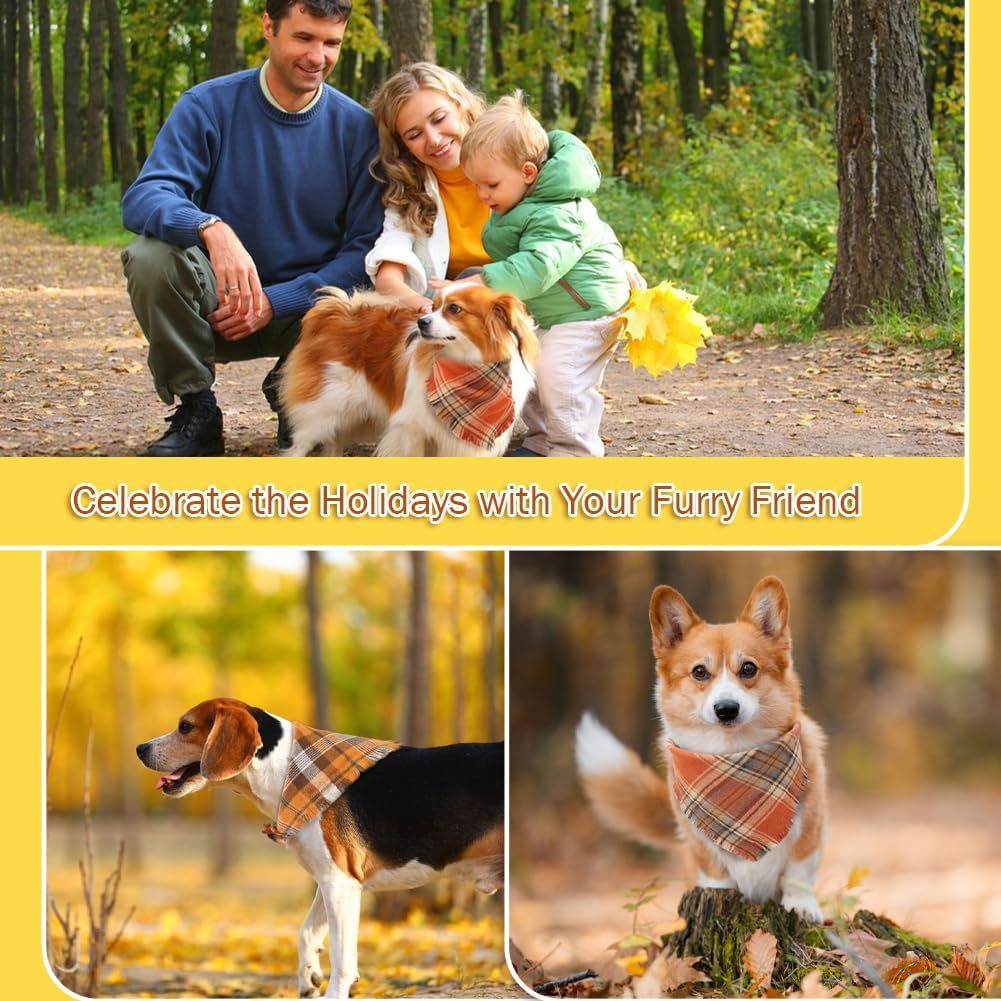 Fall Bandana For Pets With Tassel Edges